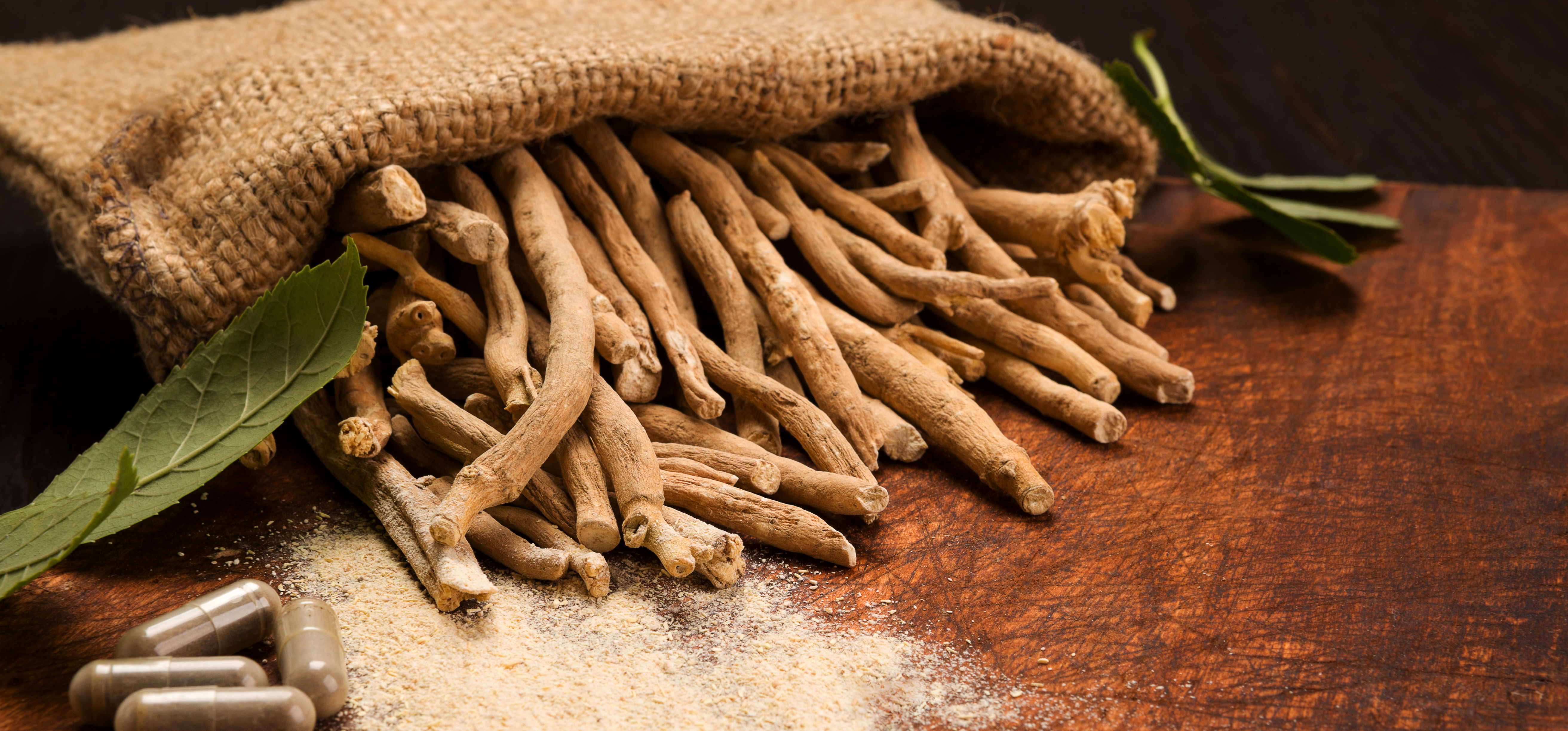 Ashwagandha : le secret ayurvédique contre le stress (et pourquoi tous les compléments ne se valent pas)