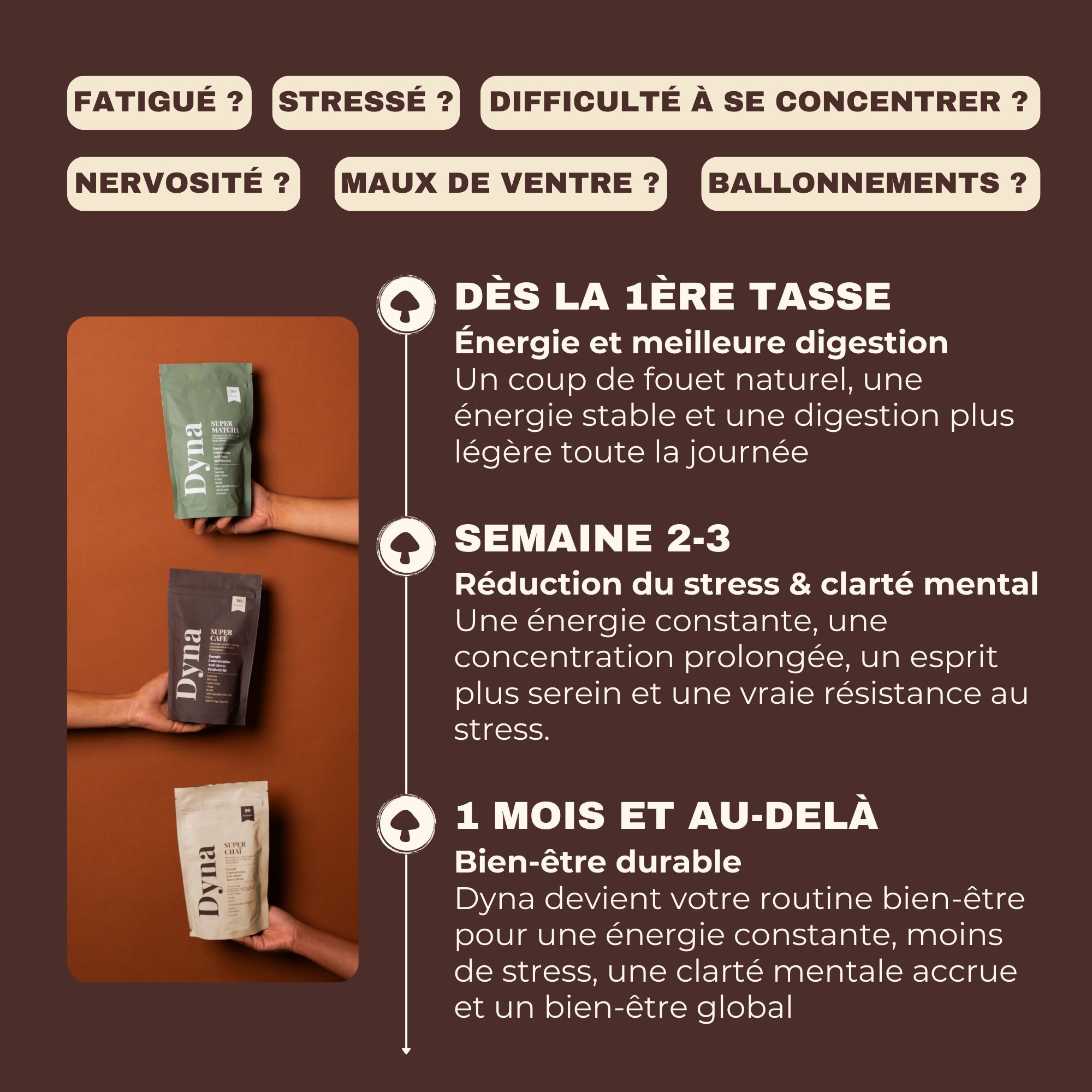 Coffret Dégustation