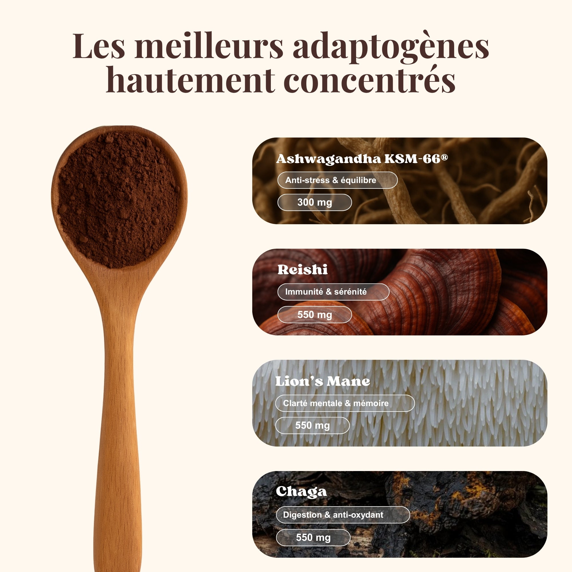 Coffret Dégustation