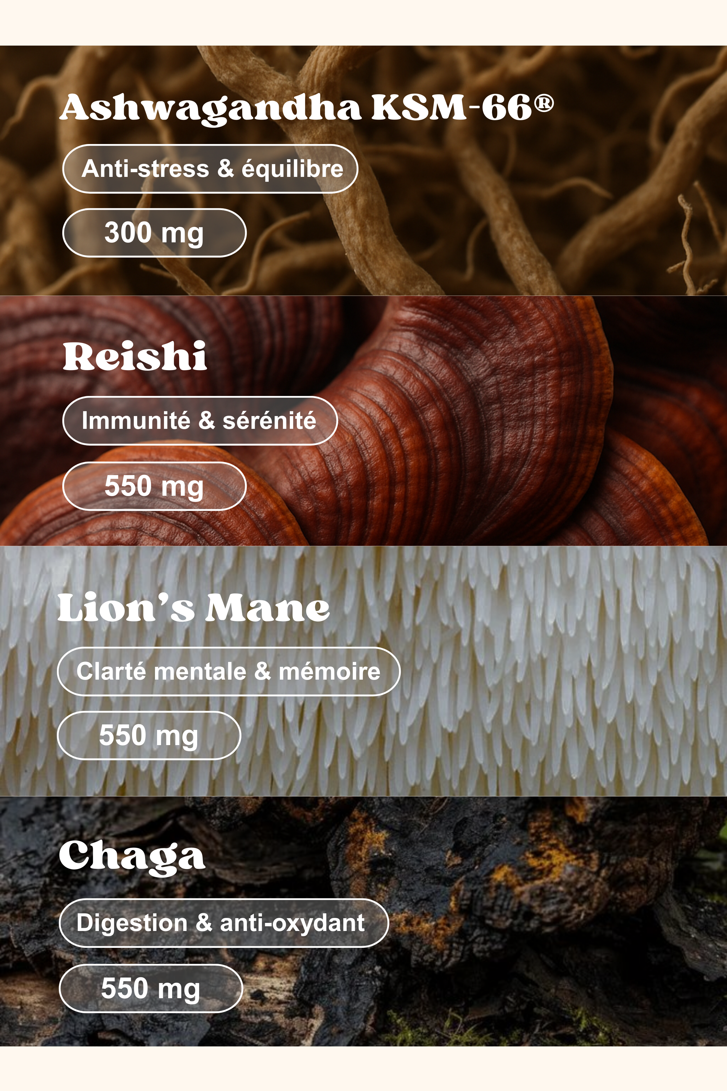 Mobile image