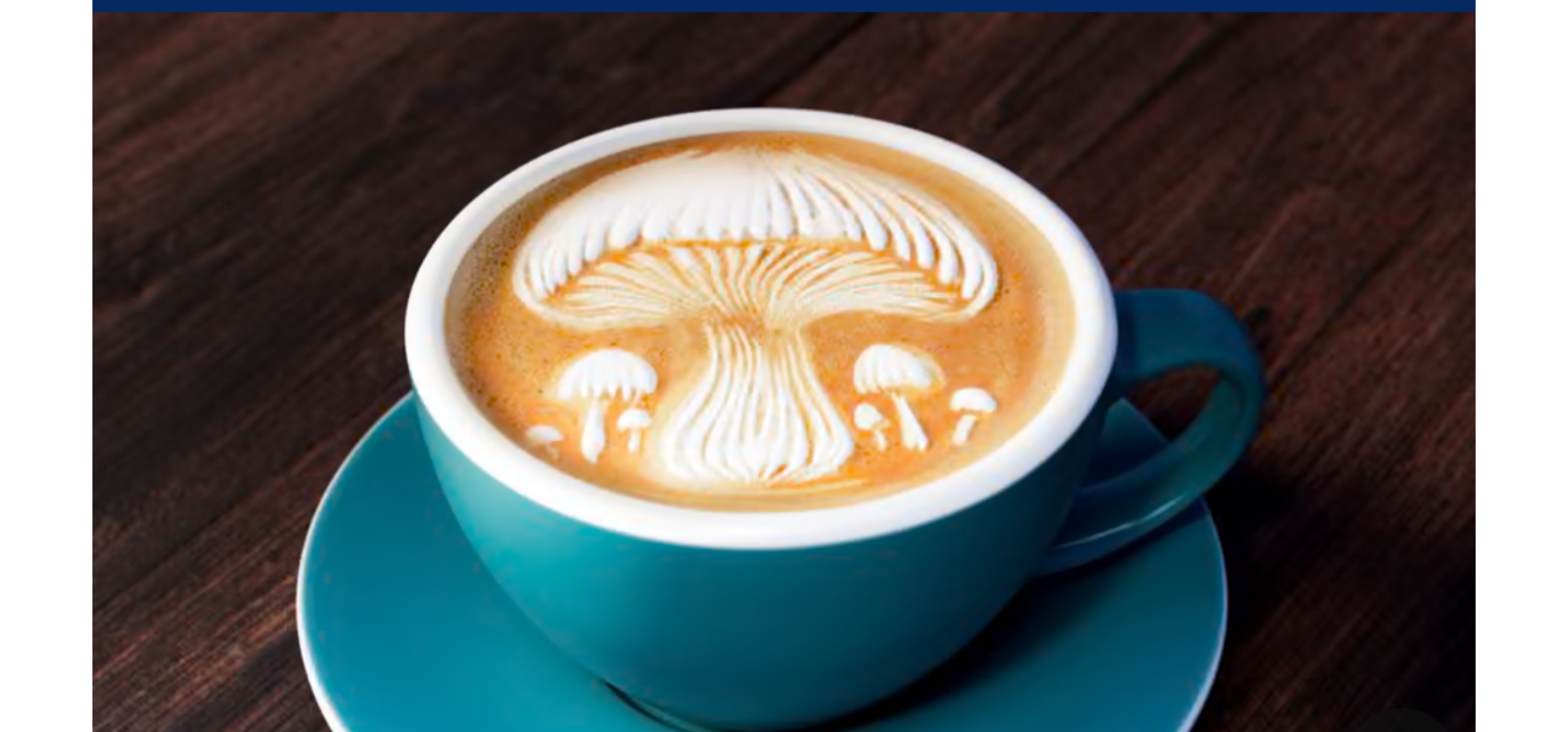Dyna la nouvelle marque d’alternative au café, sans café soluble