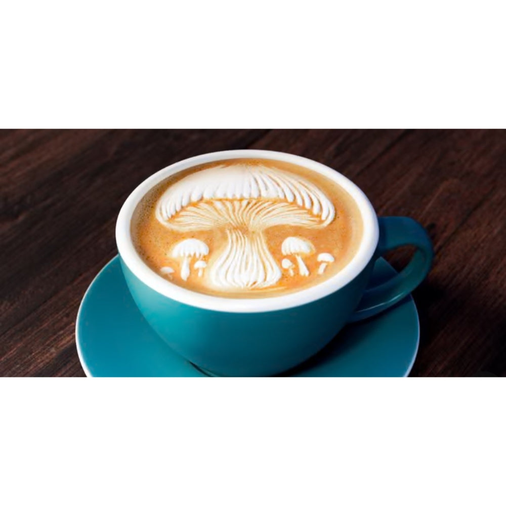 Dyna la nouvelle marque d’alternative au café, sans café soluble