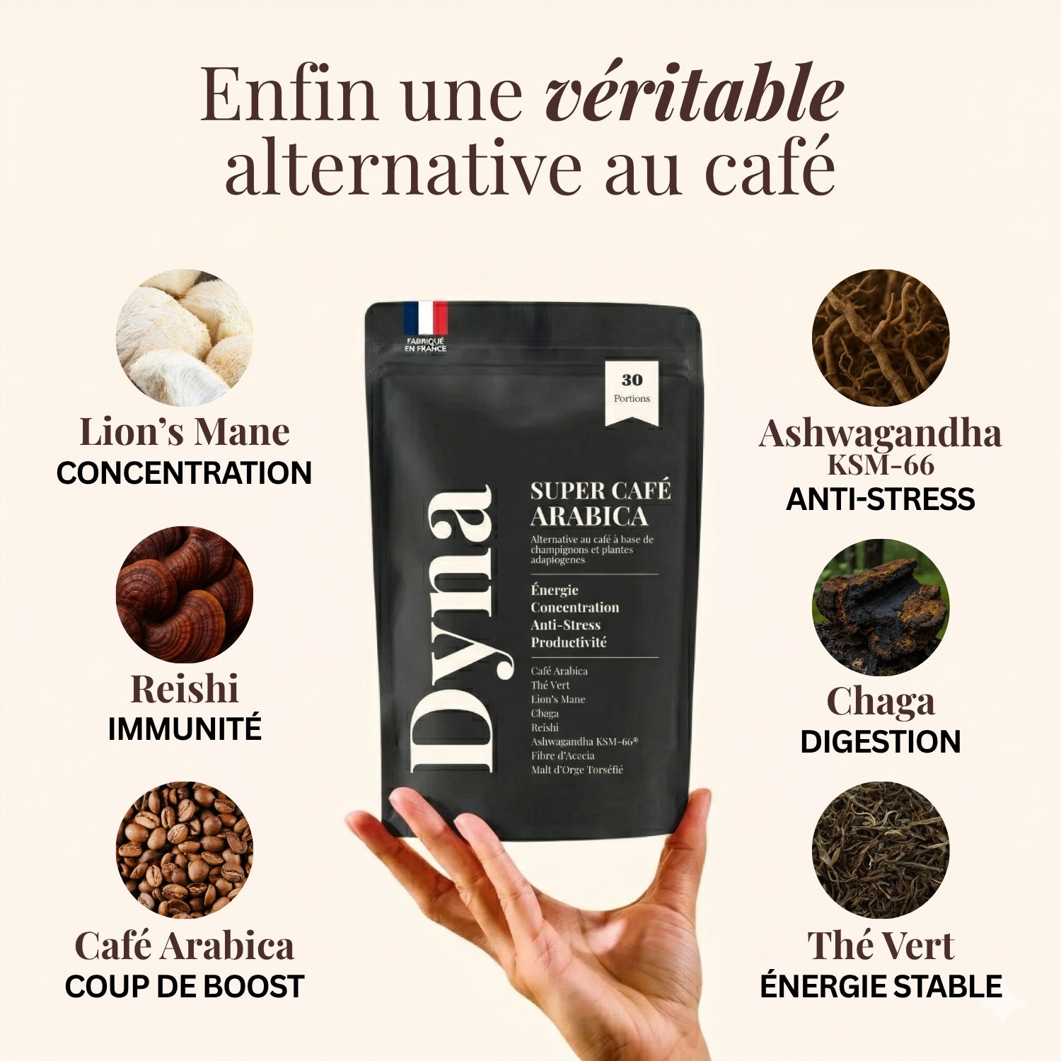 Super Café Arabica