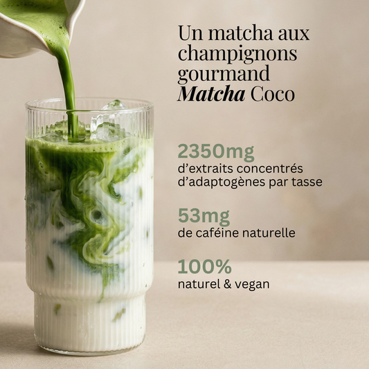 Super Matcha - FOCUS
