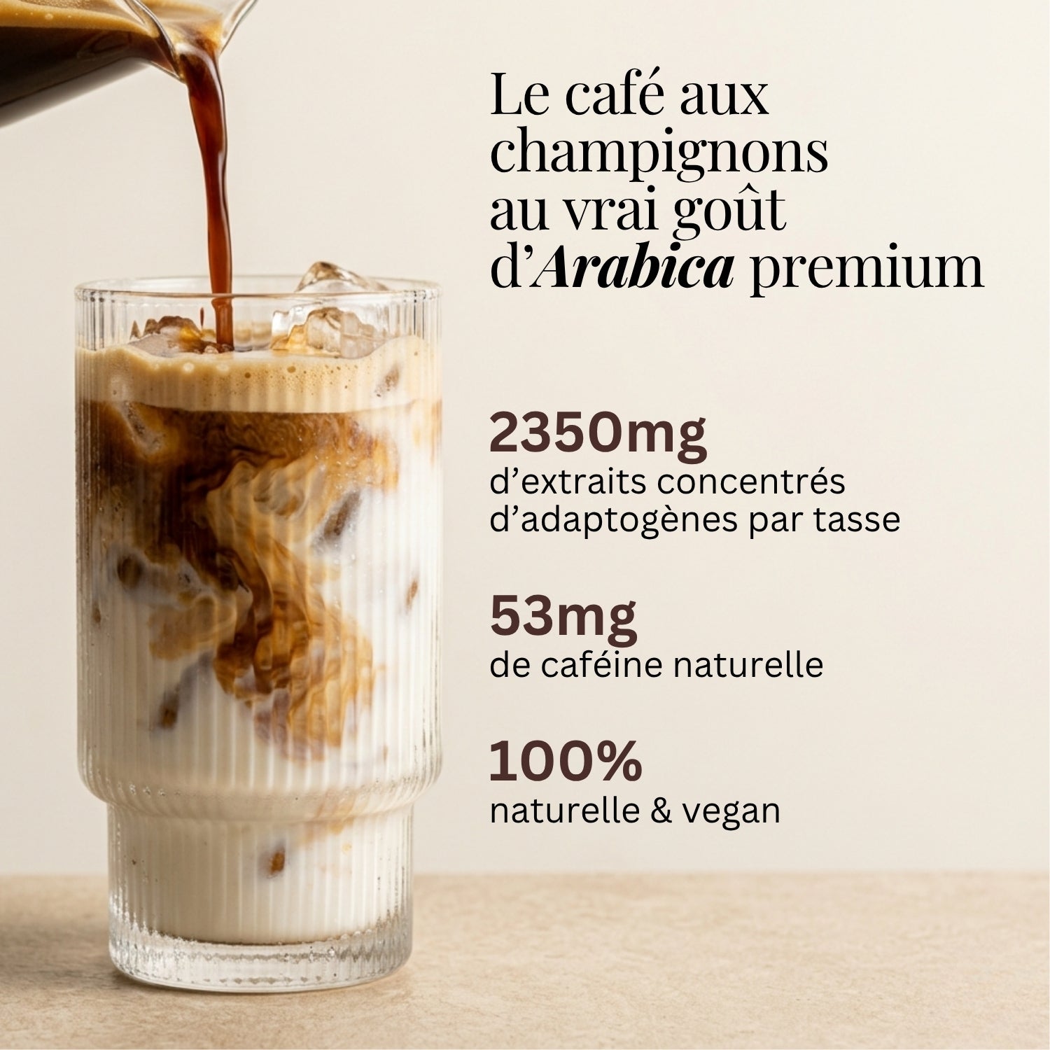 Super Café Arabica