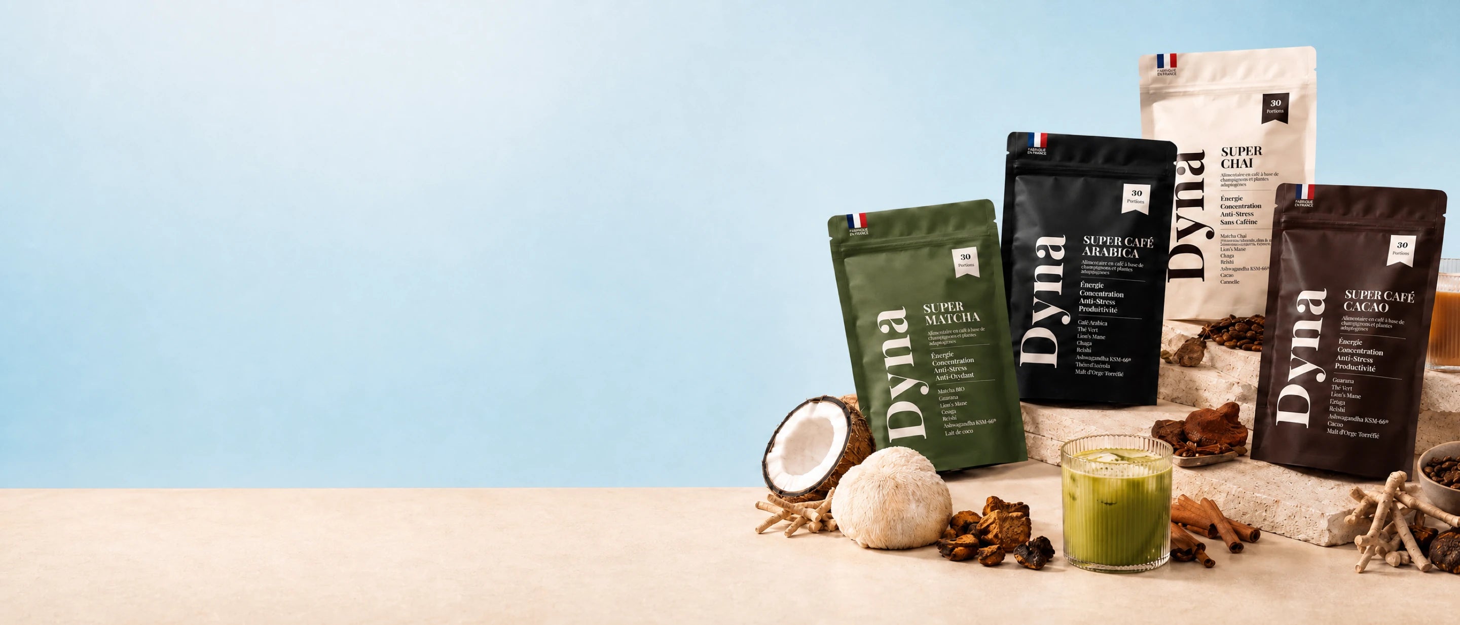 Sachets boisson champignons adaptogènes Dyna