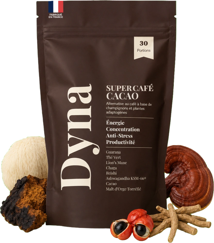 Sachet de Super Café Cacao Dyna avec des champignons adaptogènes