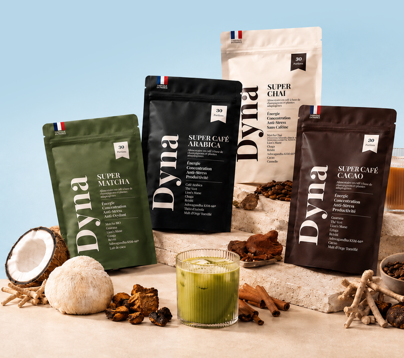 Sachets boisson champignons adaptogènes Dyna
