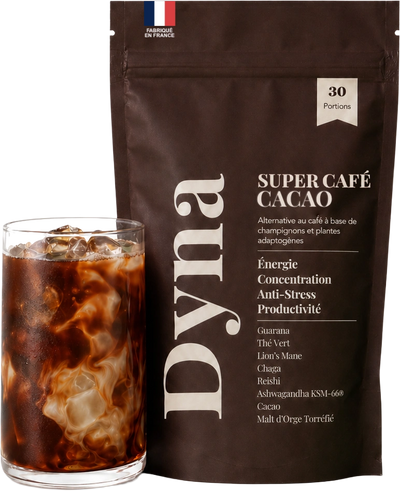 Sachet de Dyna