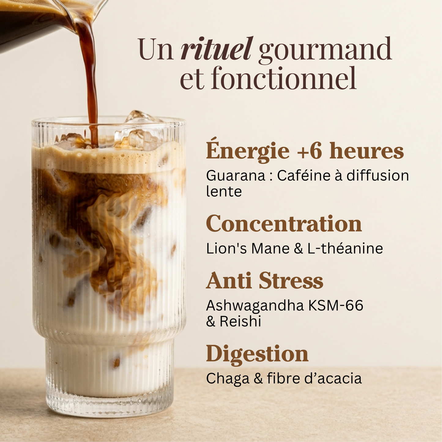 Pack Coffee Lover